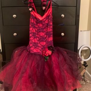 Awish come true rose ballet costume.